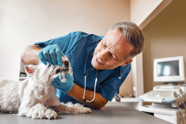Best Emergency Treatment for Oral Infections in Asheboro, NC
